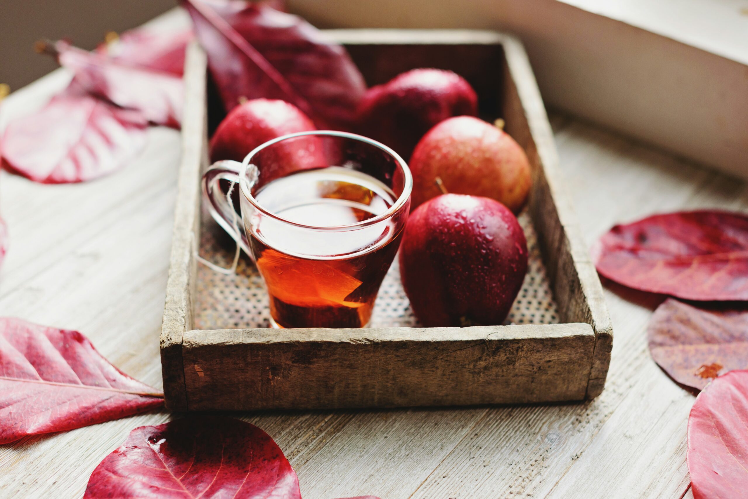 Beyond the Sip: Enjoy Homemade Apple Cider All Season Long
